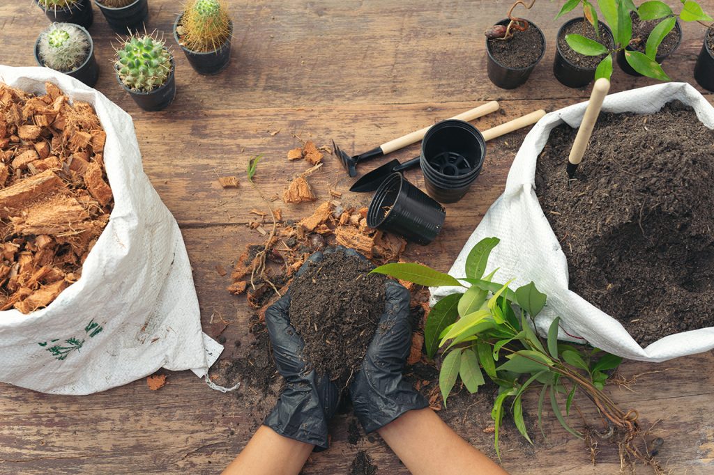 Le printemps des Jardins le samedi 9Avril 2022 de 9h à 13h.